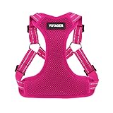 Best Pet Supplies Voyager Step-in Flex Dog Harness - All Weather Mesh, Step in Adjustable Harness...