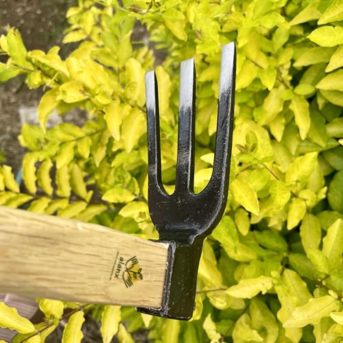 Azada manual de jardín de 14 pulgadas alanx con mango de roble miniatura 5