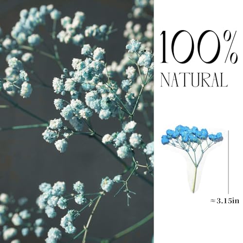 Flores Secas Naturales Azul Para Manualidades 96pz miniatura 2