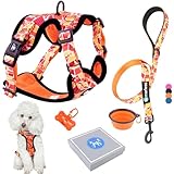 Harnais et Laisse pour Chien Chiot Chat. Harnai Réglable Original Arnet Anti Traction Original Coffret Cadeau pour Chiens Taille Moyenne ou Grand Chat Maine Coon (M Orange, Lot) Poids Idéal 7-11,5kg