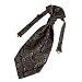 ERB1B08A Black Microfiber Contemporary Graduation Gift for Mens Patterned Ascot Fantastic Popular Business Christmas By Epoint