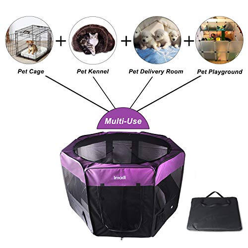 Box per Cani da Interno e Esterno Piccola Grande