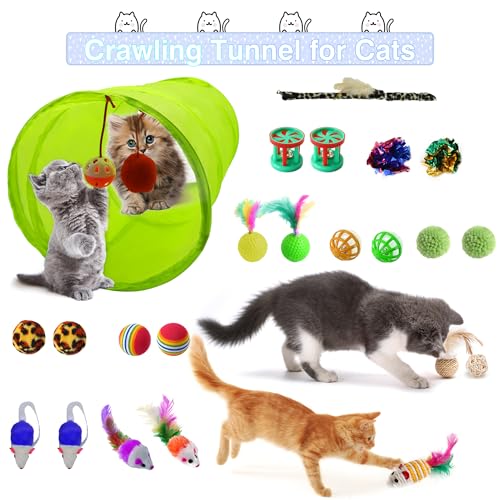 AURIXUS 39-teiliges Kitten-Starter-Set, ideal für Katzen unter 6 Monaten, Katzenbedarf, mit 23-teiligem Spielzeug-Set, Bett, Tragetasche, Einwegtoilette, Schalen und mehr, perfekt für neue