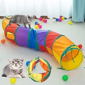 DoggKKin Katzenspielzeug Selbstbesch&auml;ftigung Katzentunnel,Vogelspielzeug f&uuml;r Katzen 123 * 25cm Intelligenzspielzeug f&uuml;r Katzen,Interaktives Katzenspielzeug Faltbar, Interaktives Haustier-Spielzeug