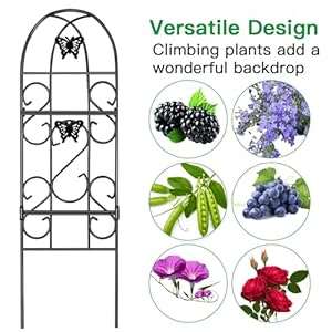 AMAGABELI Garden Home 4 Pack Garden Trellis for Climbing Plants 60 x 18 Black Iron Trellis for Potted Plant Support Butterfly Metal Trellis for Climbing Roses Vine Flower Cucumber Clematis GT02