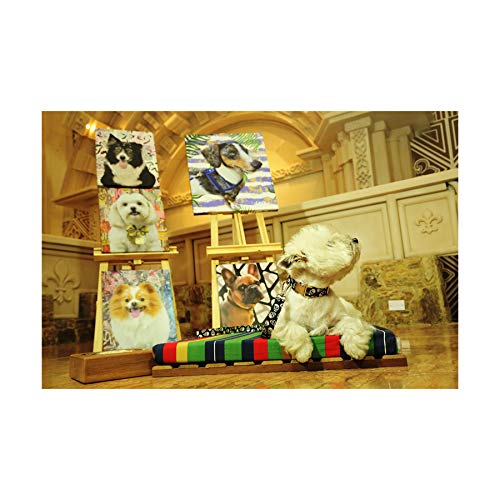 Cama Deck Madeira Modernpet Tam. Grande - Listra Collors