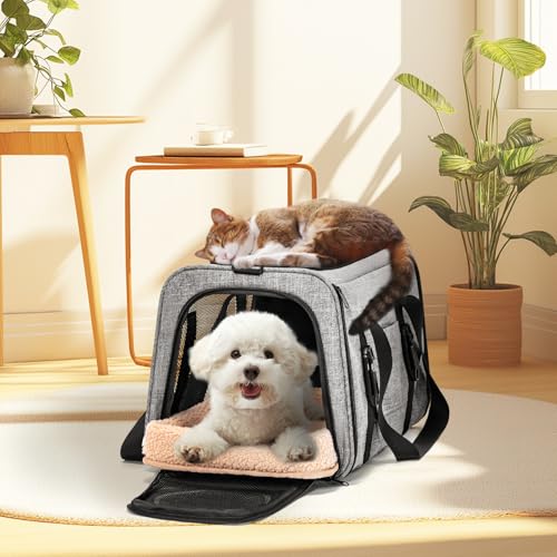 Petsfit Transportbox für Katzen – Faltbare Transporttasche mit Schultergurt, 4-seitigem Netz & weichem Innenkissen – ideal fürs Auto, Reisen & Tierarztbesuche – auch für kleine Hunde