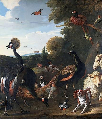 Pintura pavos reales Melchior De Hondecoeter para decoración pared comedor elegante 60x90
