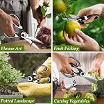 2 Garden Shears, Flower Scissors, Multifunctional Gardening Floral Pruning Shears, Premium Thickened Stainless Steel Floral Shears for Flower Bar Supplies, Fruit