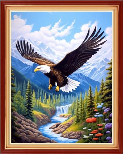 Image of Redxing Stamped Cross Stitch Kits Embroidery kit for Beginners Adults Full Range of Embroidery Patterns Starter Kits DIY Printed Cross Stitch Kits Needlepoint Kits 11CT-Eagles Soaring 16x20 inch