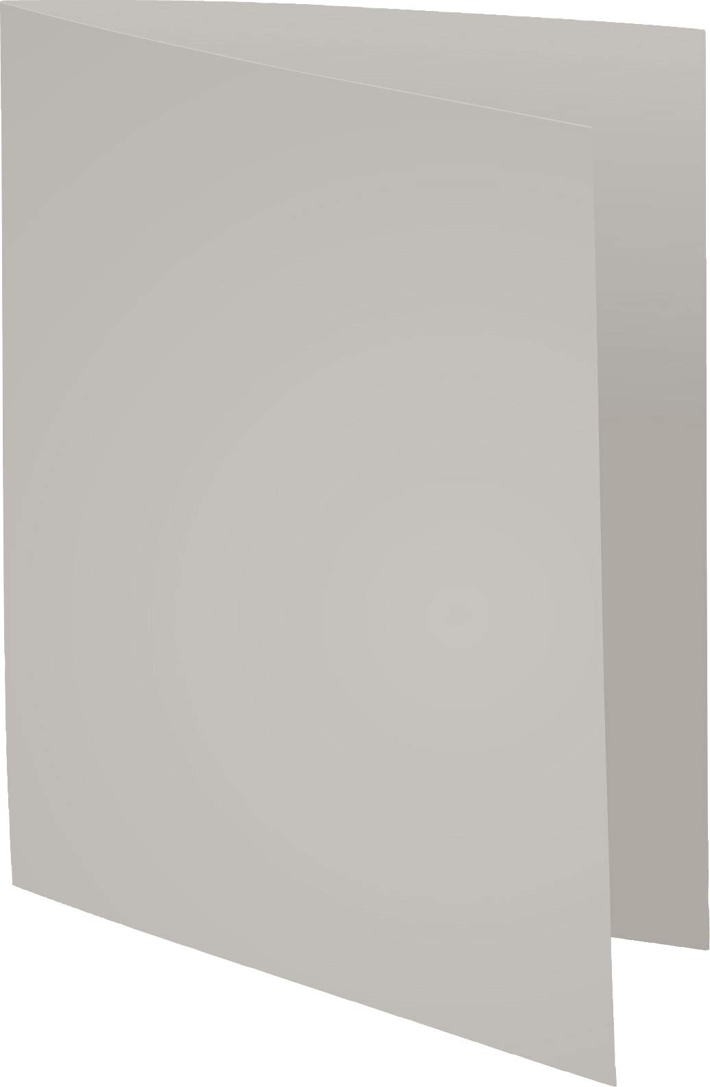 Exacompta 410009E Cartelle Semplici, 220 g, DIN A4, 24 x 32 cm, Grigio