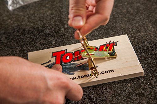 Image of Tomcat Rat Trap (Wooden), 1 Trap (Pack of 2)