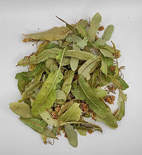Tilo Seco Salvaje Hojas y Flores 85g a 1.95KG Cosecha Mayo 2022 Tilia Cordata (1950 gramos)