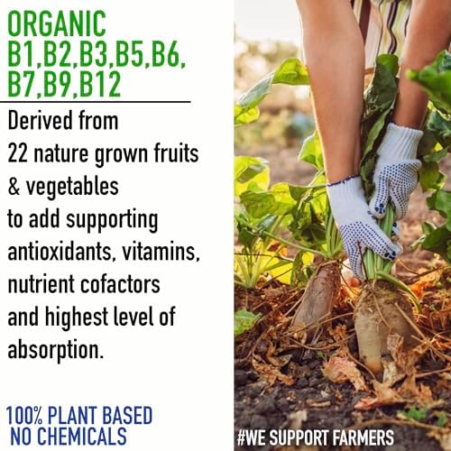 BioClinical Plant Based B Complex - Vitamin B12 Supplement B1,B2,B3,B5,B6,B7,B9 2Months Organic Vit B-12 for Men & Women - Natural Ayurvedic Rasayana -Act. Inlife , Nerve, Hair & Skin Health -60 Vegan Capsules