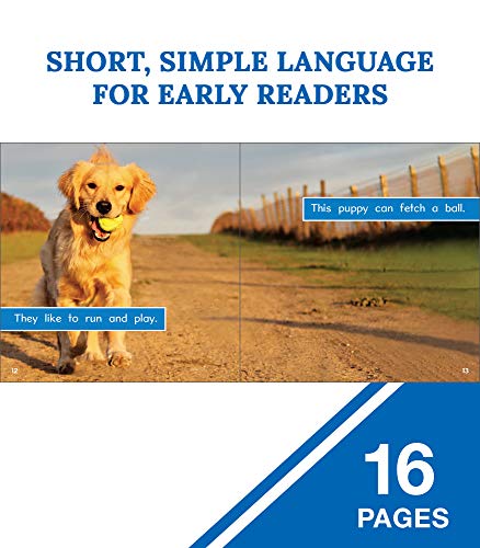 Ready Readers Scragg, Hailey Rourke Educational Media Top Puppies: Golden Retriever Puppies―Children'S Book About Golden Retrievers thumb #3