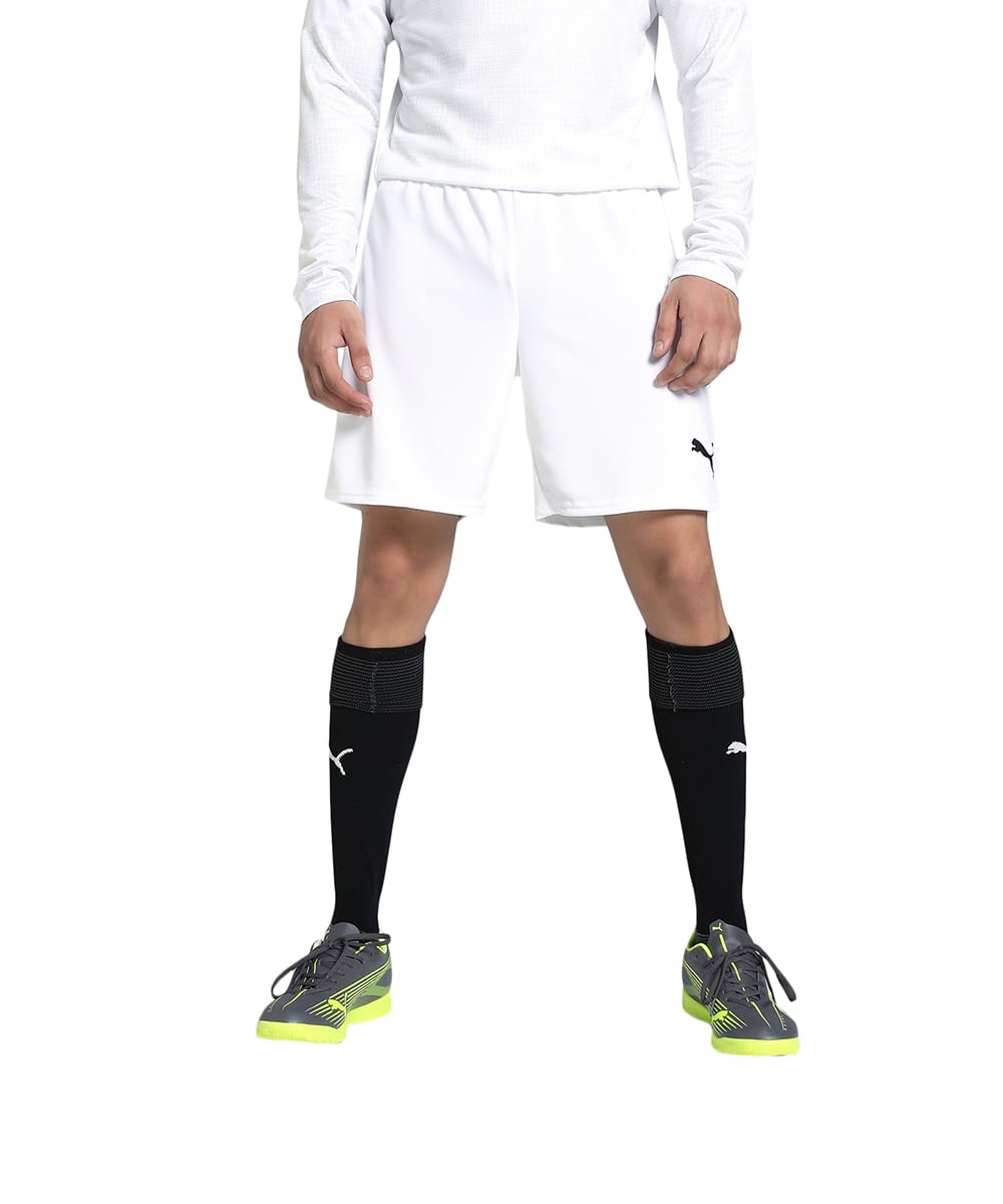 puma Men's Hybrid Shorts-picture-27