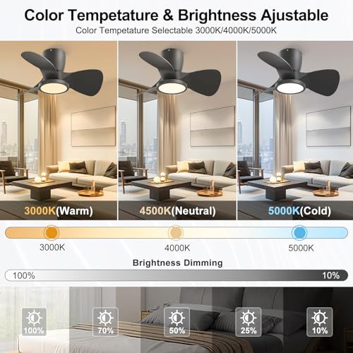Ventilador de techo con luz reversible y LED