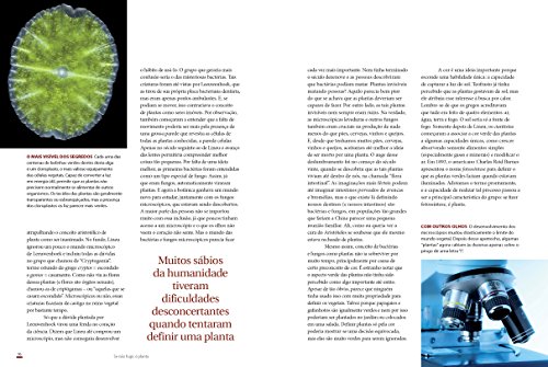 Se Não Fugir, é Planta!