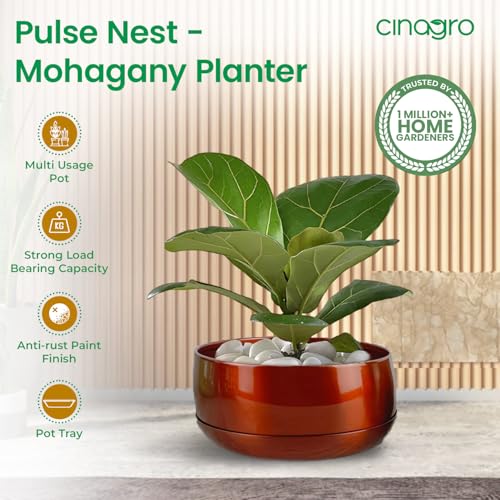 Image of CINAGRO Metal Planter Pot for Indoor Plants, Round Decorative Flower Pot, Rust-Resistant, Modern Plant Holder for Home, Balcony, Office (13.97 x 7.62 cm, Pulse Nest - Mahogany)