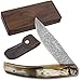 YOUSUNLONG Coltello tascabile Un totale di 186 mm coltello da sopravvivenza pieghevole Lama in acciaio damasco - manico in corno di toro naturale con fodero in pelle