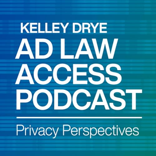Privacy Perspectives: Privacy Litigation Update - The Latest on Wiretap & CIPA Pixel Litigation Podcast Por  arte de portada