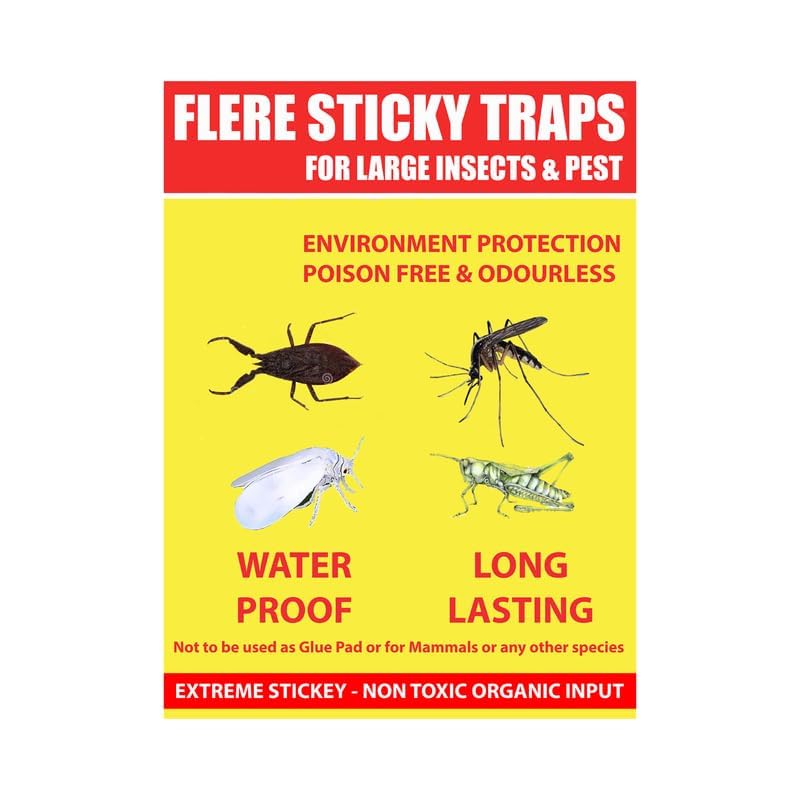 Flere Sticky Insect Trap (Yellow, 6.5 x 8 Inch, Large Size) - Pack of 1 Design May Different 1