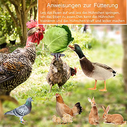 QUACOWW Hähnchen Obst und Gemüse Fütterungs Netzbeutel , 3 Stück Hähnchen Futterautomat, Edelstahl Feeder für Hähnchen… – Bild 7