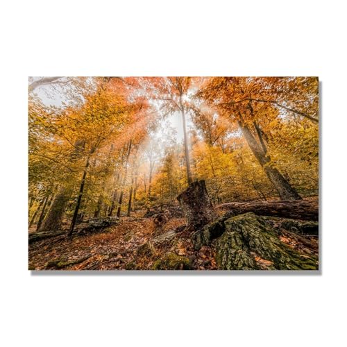 Tableau nature 50x75cm pour salon NHLDZYH