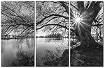 3 Pièces Moderne Toile Peinture Mur Art L'image pour la décoration maison Arbre noir et blanc Silhouette dans le soleil Lever Lake Paysage Imprimer sur toile Giclee Artwork for Wall Decor