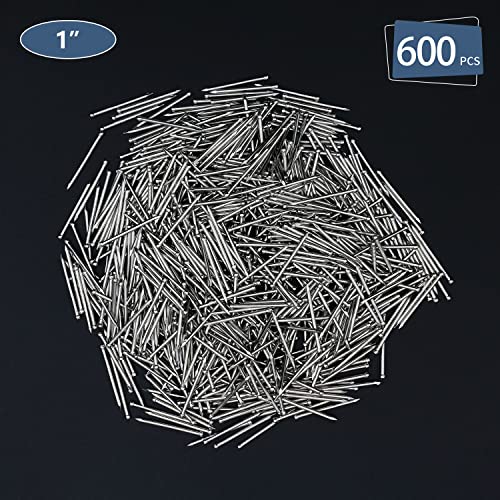 Image of JEGONFRI 600PCS 1 inch Nickel Brad Head Nails for Hanging Pictures & Woodwork | Premium Carbon Steel Build, Rust-Resistant Nickel Finish, Consistent Size & Strength