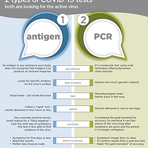 What is the difference between the Antigen Test and the PCR Test