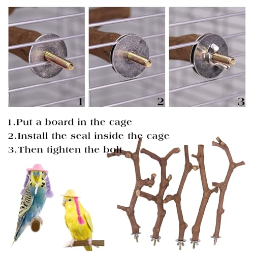 Image of 5 Pcs Natural Wood Bird Perch Stand Set, 3 Grape Wood Perches, 2 Stands, Paw Grinding Branches for Parakeets, Macaws, Conures