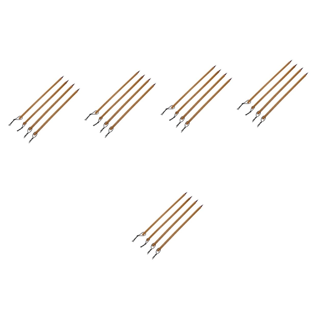 DOITOOL 5 Set Calligrafia Cinesi Per Scrittura Per Principianti E Strumento Leggero E Portatile Per Calligrafia Setole Morbide E Accessori 4 Pezzi*5
