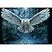 Produktbild DIY 5D Diamond Painting, Crystal Rhinestone Diamond Embroidery Paintings Pictures Arts Craft for Home Wall Decor Flying White Owl 11.8 X 15.7 Inch