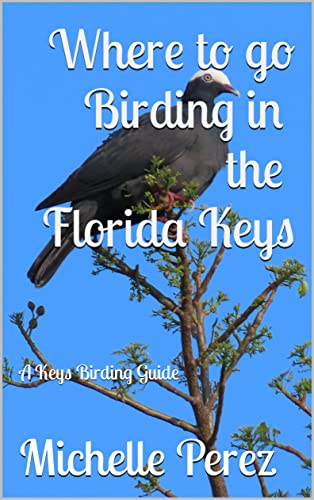 Where to go Birding in the Florida Keys