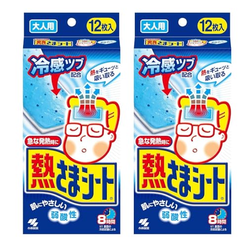 yQZbgzѐ M܃V[g lp 12 ЂpWFV[g M  Qꂵ MPA ב΍ T|[g ̉ ⊴