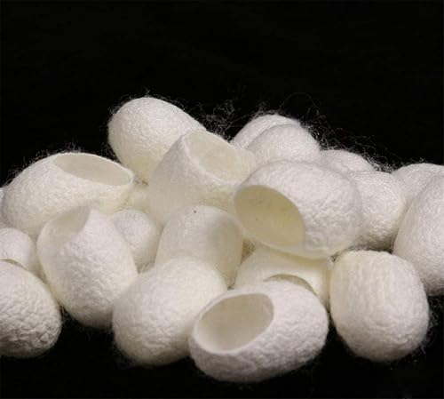 WOIWO - 20 unidades de limpiador facial con belleza natural, lavado de cara, corte de boca, cáscara de capullo, bola de seda