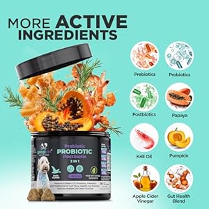   Googipet-Premium-Probiotics-for-Dogs-Dog-Probiotics-and-Digestive-Enzymes-Natural-Dog-Probiotic-Chews-WPrebiotics-Pumpkin-Helps-Dog-Diarrhea-Constipation-Digestion-Allergies-Immunity