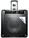 TUNES2GO GA11080 Portable PA System and Guitar Amplifier
