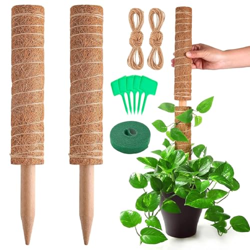 SensaBliss Xe x |x 2{Zbg 鐫 ϗtA RRXeBbN t[X^h RRibc Ԏx K[fjO \  {ێ A I |gX g}g |gX^[ _Ɨp |p |p[ci40cm