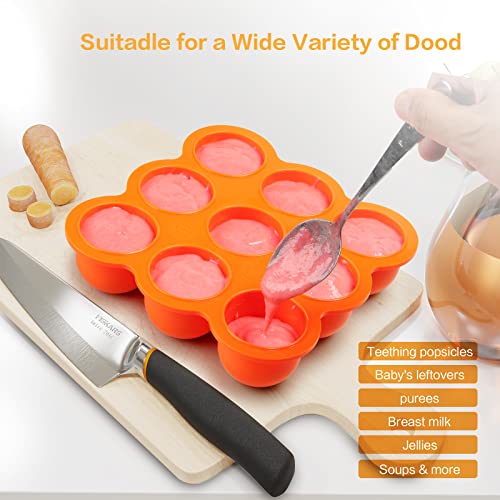 Btrfe Silicone Baby Food Storage Container, Bpa Free Freezer Tray With Lid,Food Grade Silicone For Homemade Baby Food Vegetable & Fruit Purees #TOP6