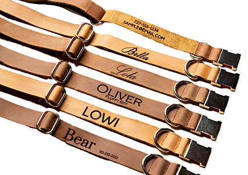 Personalized Distressed Leather Dog Collar With Metal Buckle and Leash by Left Coast Original