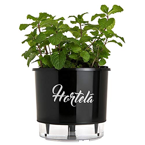 Vaso Plástico Preto Autoirrigável Gourmet Tempero Hortelã 16cm x 14cm