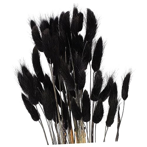 Arreglo floral seco Holibanna Bunny Tails elegante miniatura 1