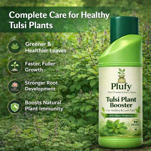 Image of Tulsi Booster - 250 ML, Tulsi plant fertilizer for growth | Organic Holy Basil Plant Food with Balanced Nutrients | Growth Booster for Healthy Leaves, Strong Roots & Fast Growth