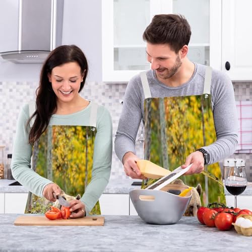 Tablier de cuisine ours marron marchant autour du lac lot de 2