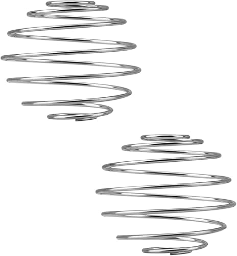WONDER STAR Stainless Steel Mixing Ball Springs for Protein Shaker Bottle, 2-Pack