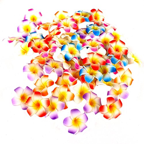 Ewanda Store 100 Pcs Diameter 1.6 Inch Assorted Color Artificial Plumeria Rubra Hawaiian Foam Frangipani Flower Petals For Weddings Party Decoration #TOP1