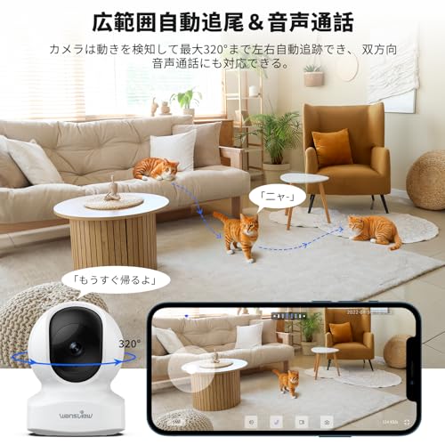 Wansview Q5H ネットワークカメラ の商品画像 5