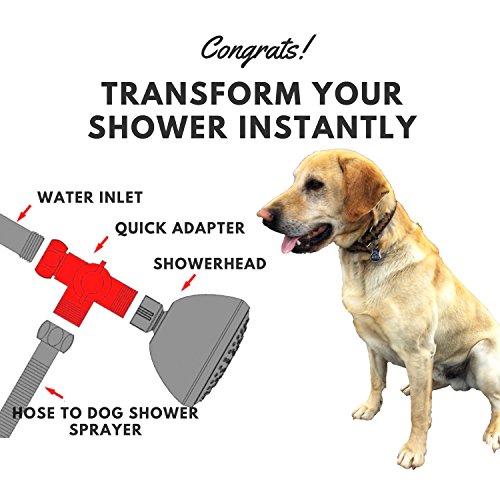 dog wash hose attachment